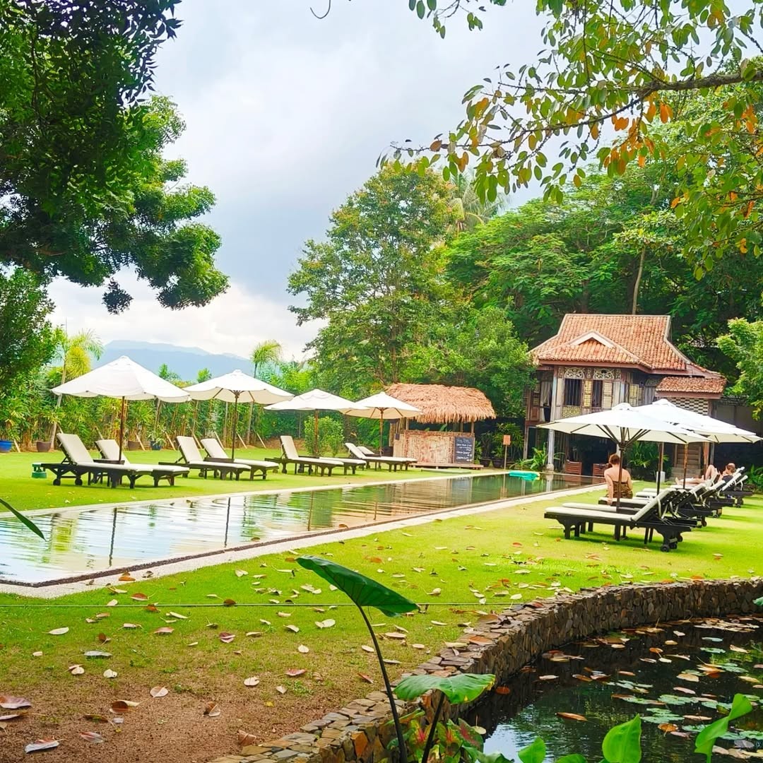 The beginning of a dream